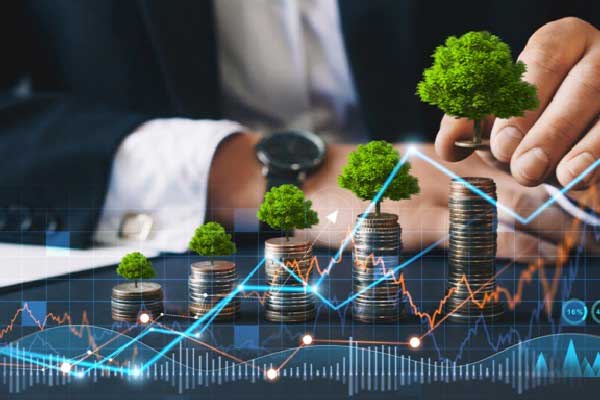 碧桂园服务启动组织架构调整并更换CFO，原CFO仍任执行总裁负责孵化业务板块