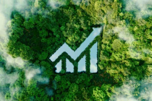 碧桂园服务启动组织架构调整并更换CFO，原CFO仍任执行总裁负责孵化业务板块